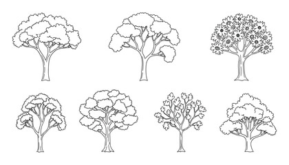Assortment of botanical trees, meticulously hand-drawn in outline style, line artwork.