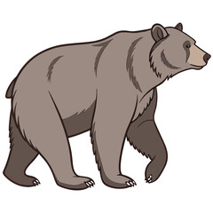 Fototapeta premium Bear vector illustration of a wild brown polar bear cartoon icon silhouette