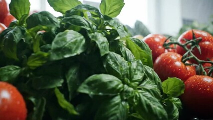 Vibrant red cherry tomatoes on the vine and fresh green basil, glistening with water. The perfect ingredients for healthy Italian cuisine. - Powered by Adobe