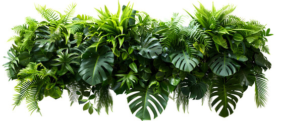 green grass on white background