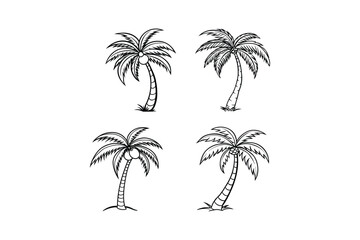 palm tree 