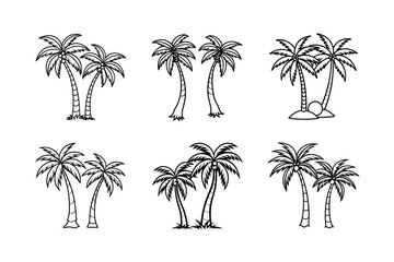 Fototapeta premium palm tree 