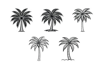 palm tree 