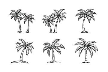Obraz premium palm tree 