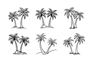 palm tree 