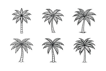 palm tree 