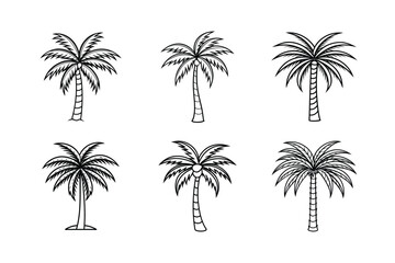 palm tree 