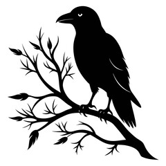 Crow Perched on Branch Silhouette
