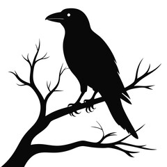 Crow Perched on Branch Silhouette
