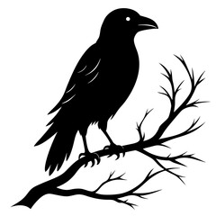 Crow Perched on Branch Silhouette