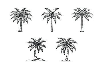 Fototapeta premium palm tree 