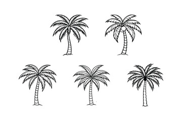 palm tree 