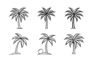 palm tree 