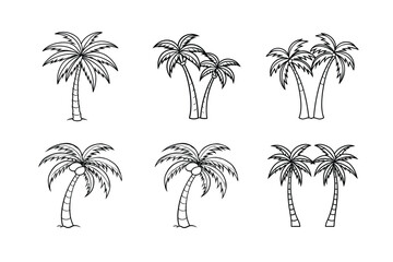 palm tree 