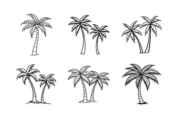 palm tree 