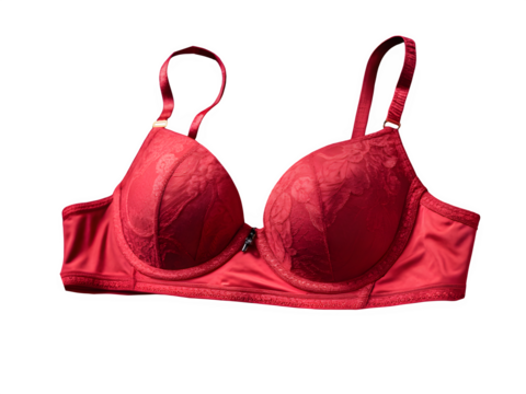 Crimson bra for female isolated on transparent background. - Powered by Adobe