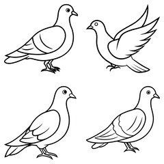 Fototapeta premium Four outlined doves in various poses including standing and flying with wings spread wide open design