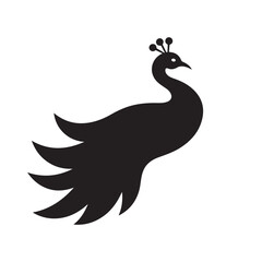 Obraz premium Elegant Black and White Peacock Illustration: Intricate Line Art, Ornate Feathers, Majestic Bird Design.