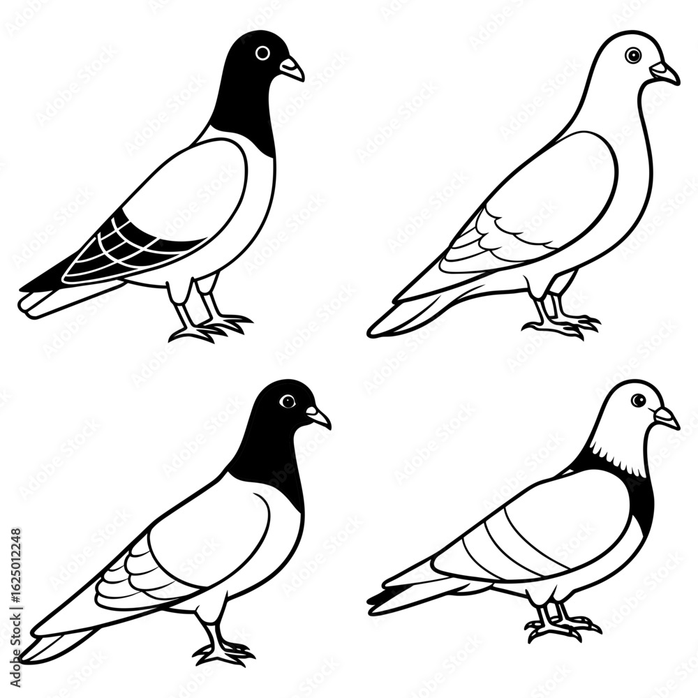 Aufkleber four pigeon illustrations in black and white showing different poses and feather patterns on display