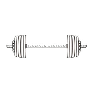 sketch barbell weightlifting equipment clip art preview
