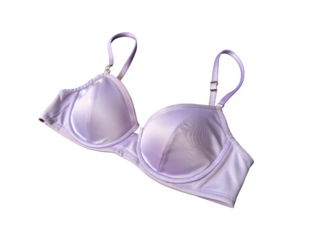 Lavender colour beautiful bra use for a female. Modern fashion cloths for ladies.