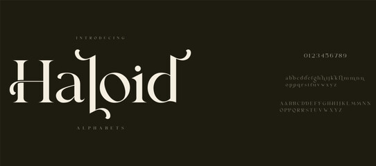 Haloid  Elegant alphabet letters font logo. Typography modern minimal lettering serif italic fonts decorative wedding vintage retro logos. vector illustration