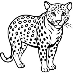 Leopard Silhouette on White