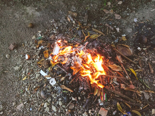 burning firewood in the fireplace