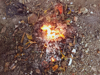fire in the forest