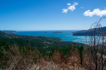 Breathtaking Coastal Landscape with Turquoise Waters