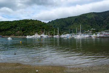 Serene Harbor with Boats and Lush Green Hills