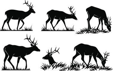 Fototapeta premium Vector art of silhouette vector illustration of deer in various poses grazing and standing in a field of grass