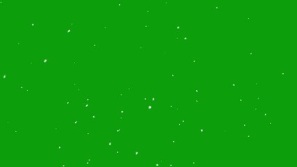 christmas snow winter holiday green screen alpha channel 4k video. Snow falling on green screen background, Isolated falling snow snowflakes on chroma key green screen alpha channel background. - Powered by Adobe