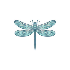 A beautifully illustrated dragonfly with intricate wing patterns, set against a plain background