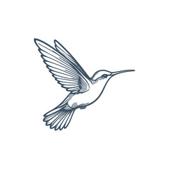 A detailed illustration of a hummingbird in mid-flight, showcasing its vibrant wings and delicate features, with a soft, minimalistic background emphasizing its elegance