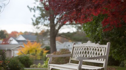 Fototapeta premium Empty park bench under autumn foliage with houses in background