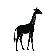 Silhouette of giraffe isolated on white background