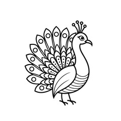 peacock vector illustration