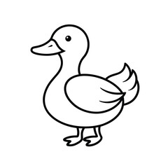 Obraz premium duck isolated on white background