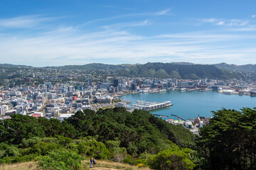 Panoramic View of Wellington City and Harbor