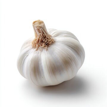 A single, raw white garlic bulb, isolated on a pure white background. Flavoring, cooking ingredient.