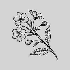 Black and White Floral Outline Art