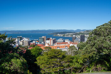 Fototapeta premium Panoramic View of Wellington City and Harbor