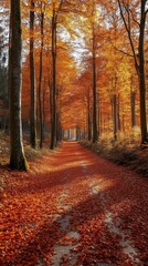 Obraz premium Autumnal Path: A Golden Canopy of Leaves