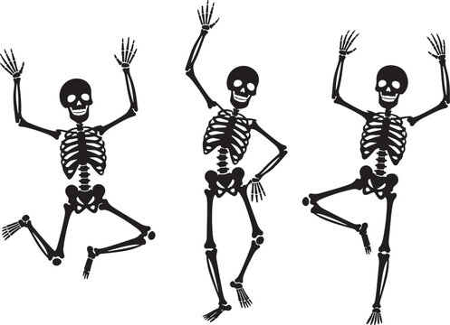 Three black skeletons dancing and jumping on white background, skeleton, human skeleton, anatomy, bones, black, white, dancing, jumping, celebration, party, halloween, spooky, funny, playful, energeti