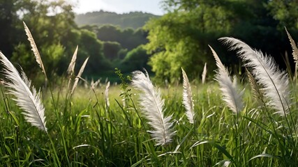 blue sky with clouds, calm nature scene, peaceful and spiritual grain