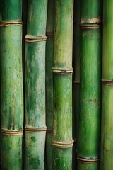 Fototapeta premium Close Up Green Bamboo Poles Texture Horizontal background