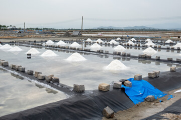 Salt piles grow in shallow pools as seawater evaporates under sun near village. Crystalline salt...