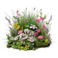 meadow flowers