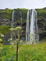  Seljalandsfoss Wasserfall Island Ringstraße